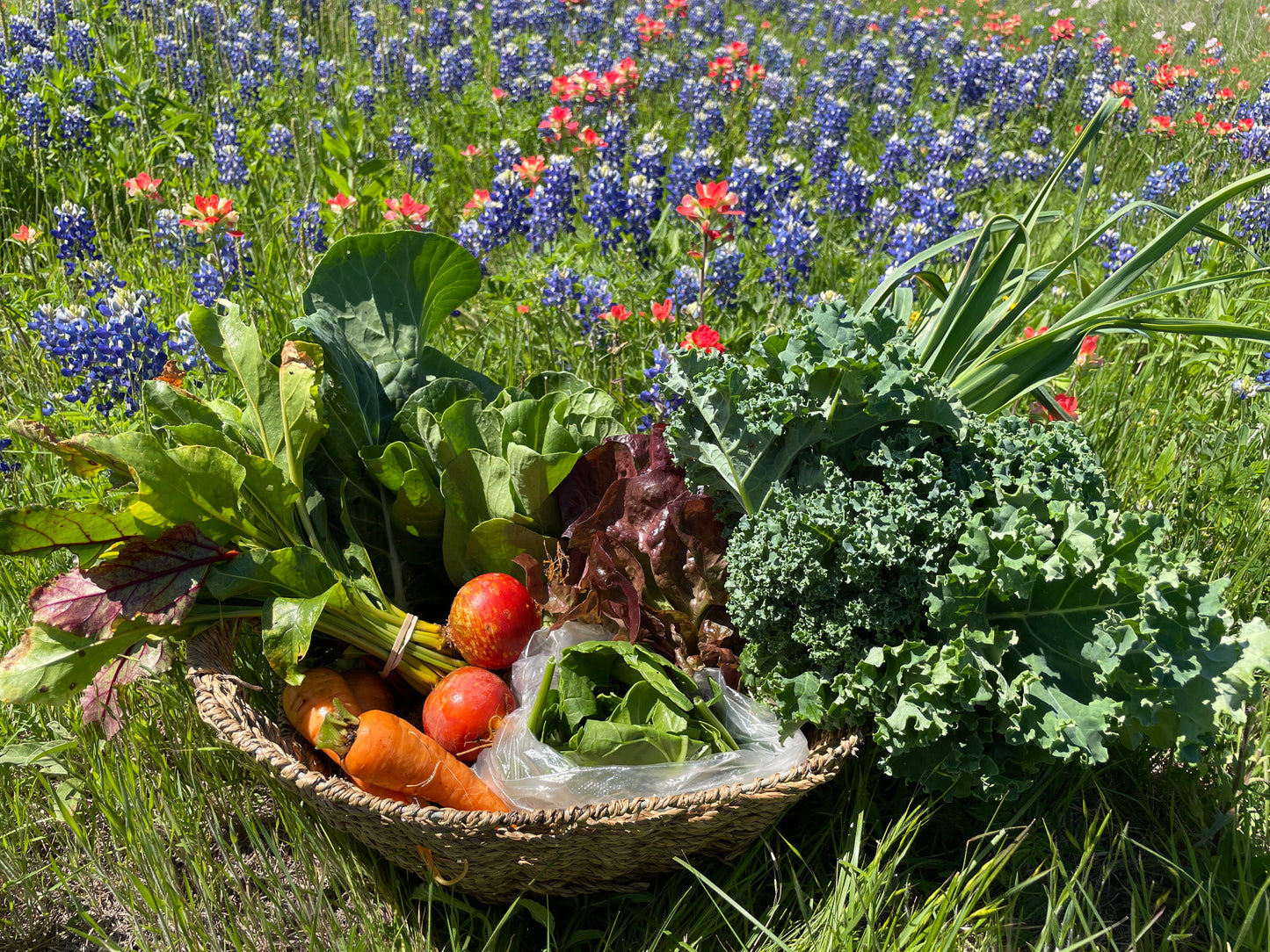 Summer 2025 CSA Subscription