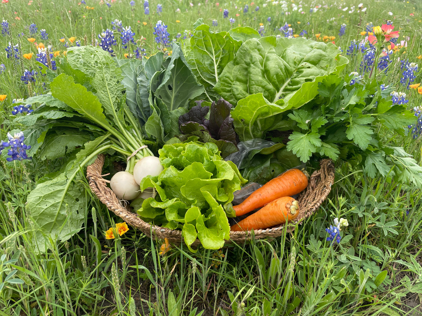 Summer 2025 CSA Subscription