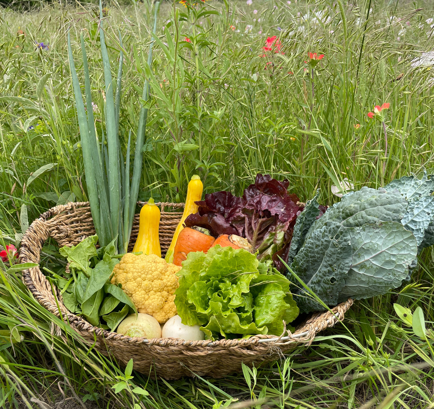 Summer 2025 CSA Subscription