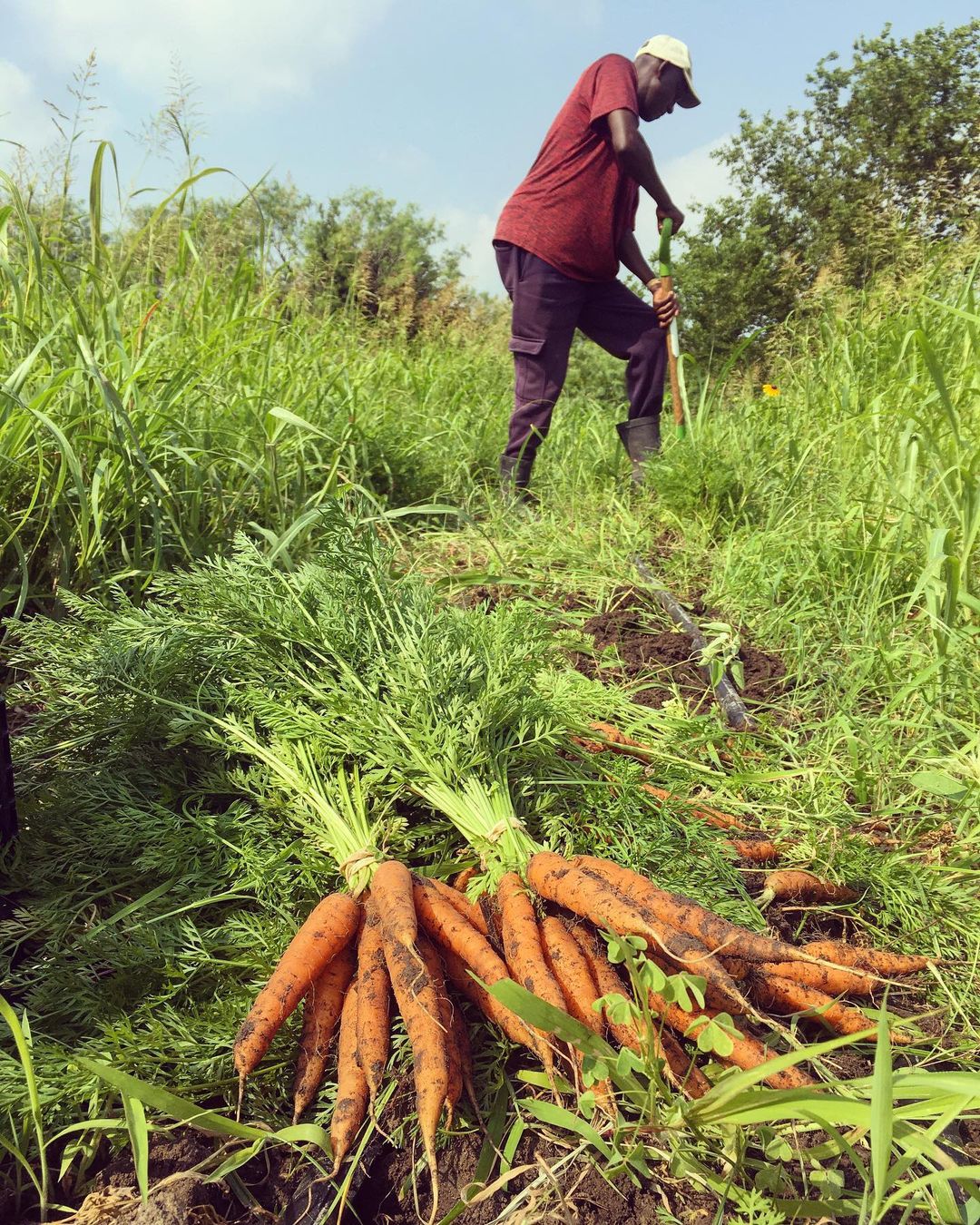 Summer 2025 CSA Subscription
