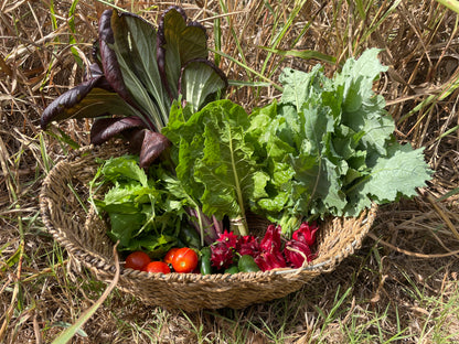 Fall 2025 CSA Subscription