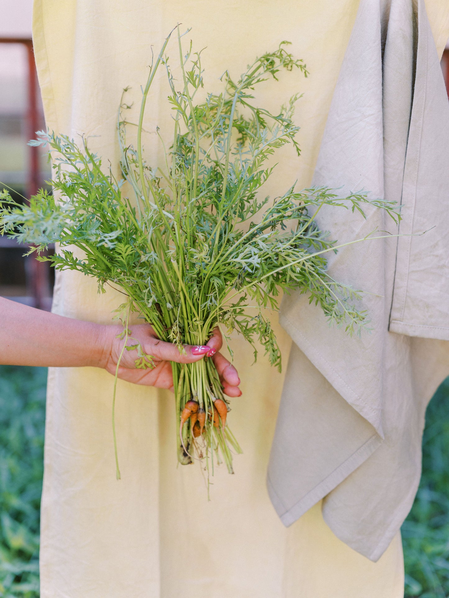 Naturally Dyed Tea Towel: Carrot Yellow