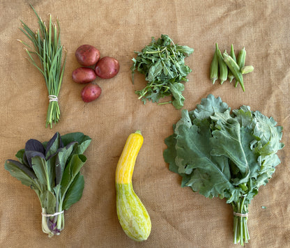 Fall 2024 Weekly CSA Subscription - 12 WEEKS