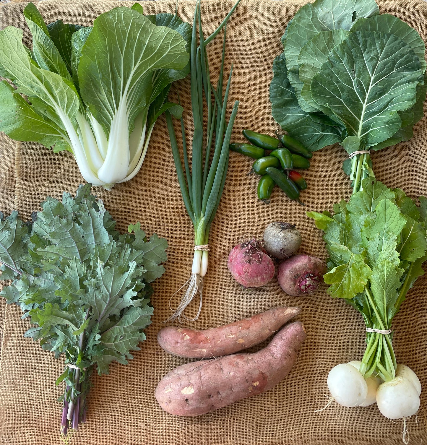 Fall 2024 Weekly CSA Subscription - 12 WEEKS